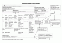 8.8 Organigramm der NS-"Euthanasie" 