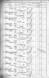 14.7 Auszug aus dem Steinhof-Totenbuch 